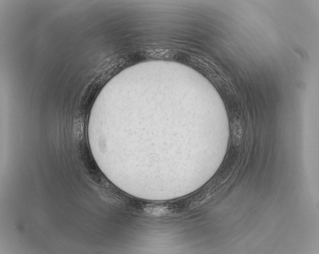 X0000115380602200912151441