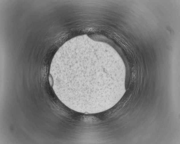 X0000115380605200912151441