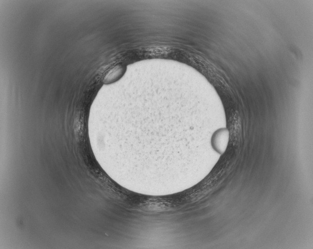 X0000115380608200912151441