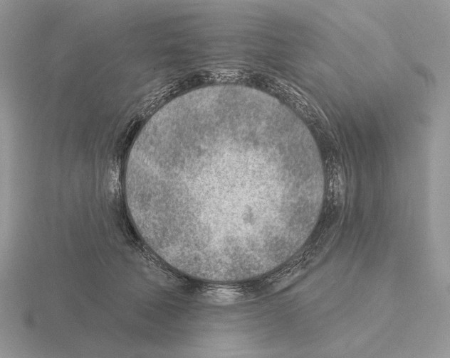 X0000115380610200912151441