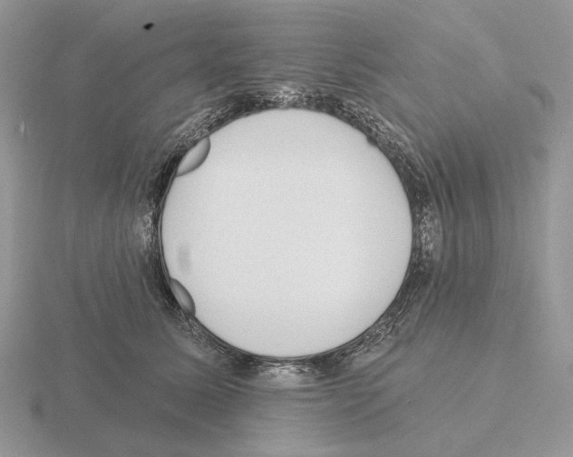 X0000115380611200912151440