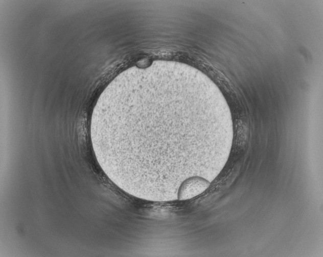 X0000115380612200912151440