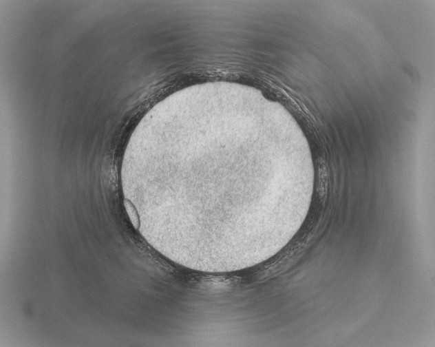 X0000115380613200912151440