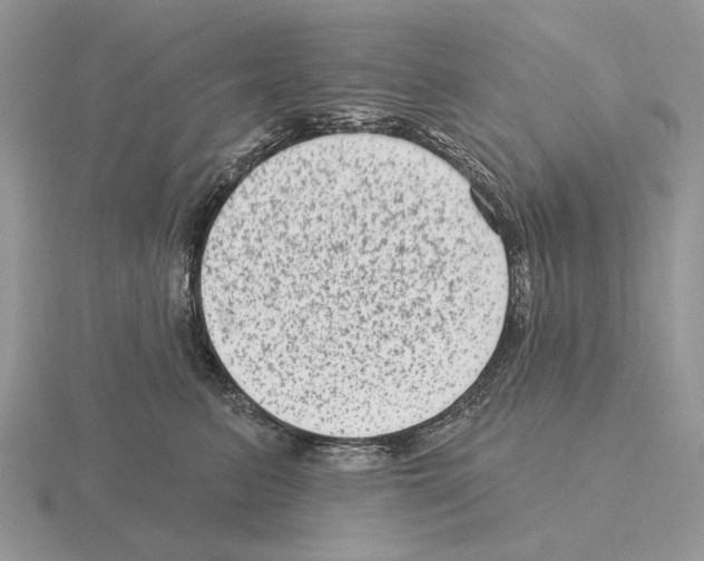 X0000115380615200912151440