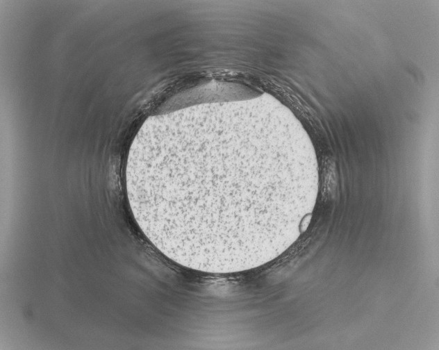 X0000115380616200912151440