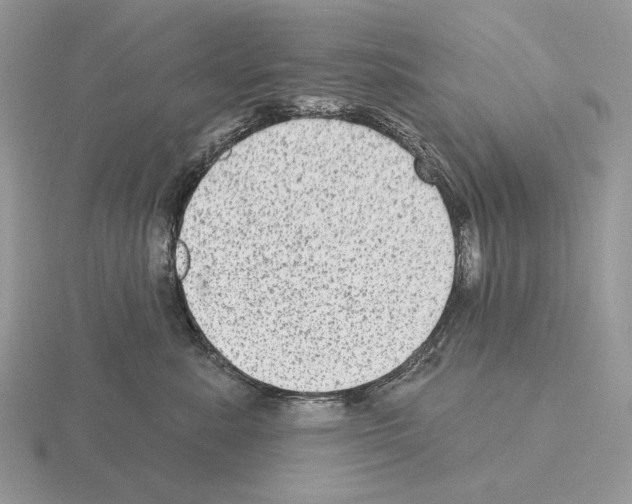 X0000115380619200912151440