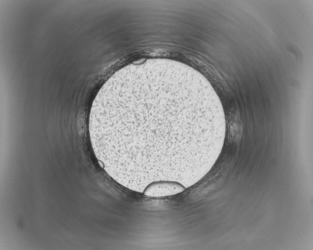 X0000115380620200912151440