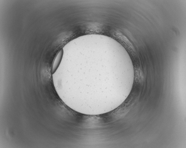 X0000115380621200912151440