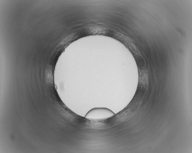 X0000115380622200912151440