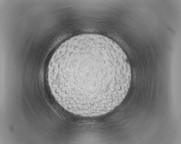 X0000115380626200912151440