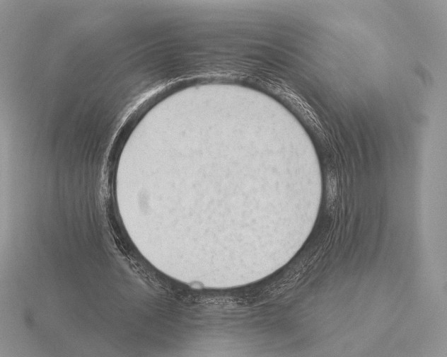 X0000115380628200912151440