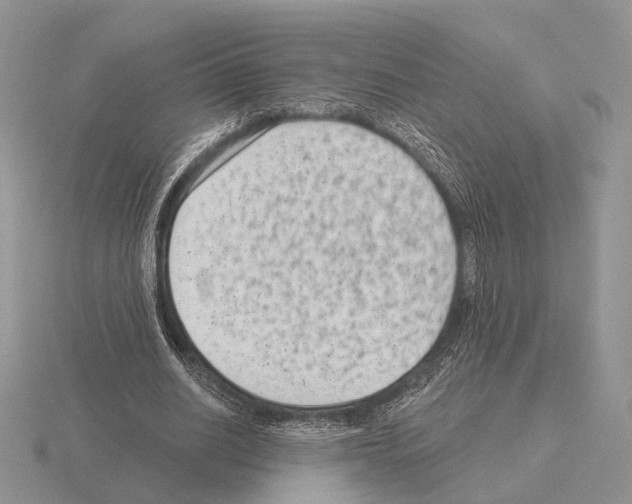 X0000115380630200912151440