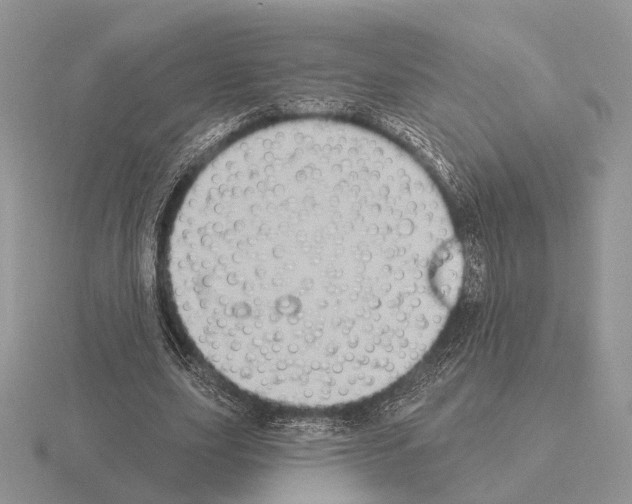 X0000115380631200912151440