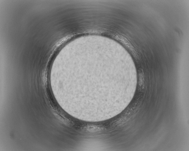 X0000115380632200912151440