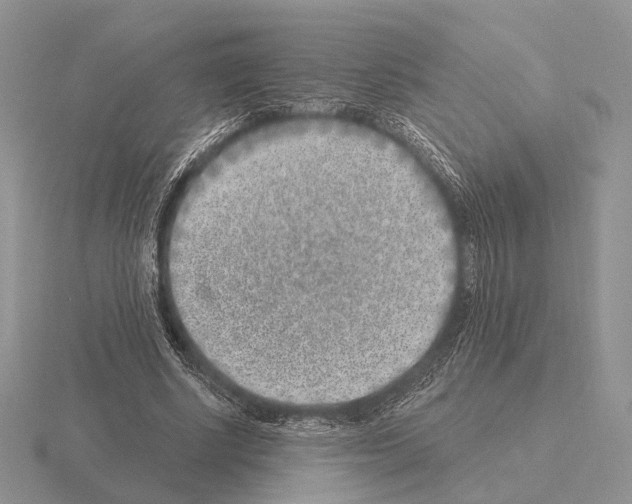 X0000115380634200912151440