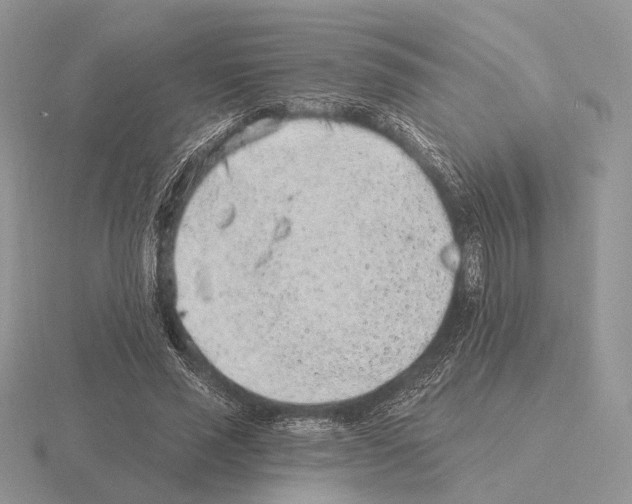 X0000115380637200912151440