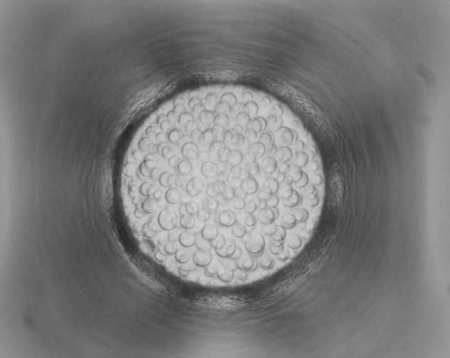 X0000115380638200912151440