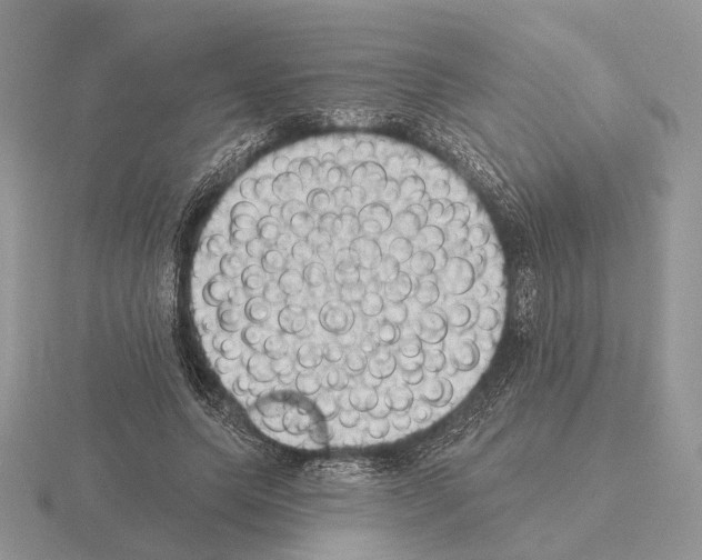 X0000115380639200912151440