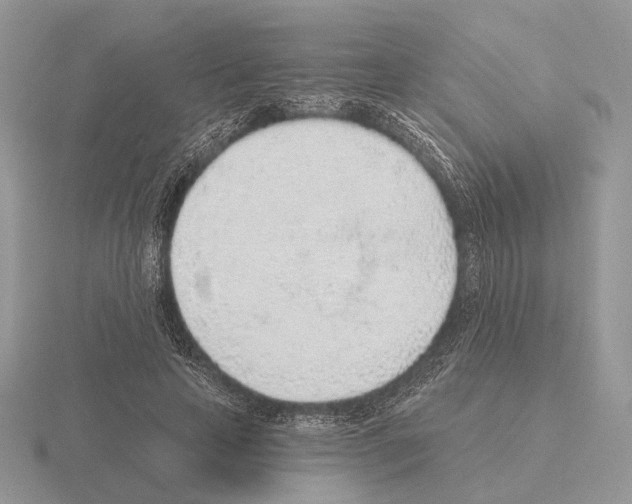 X0000115380641200912151440