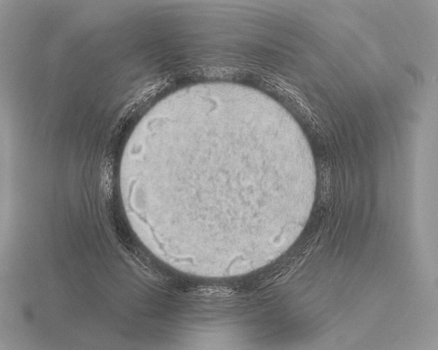 X0000115380644200912151440