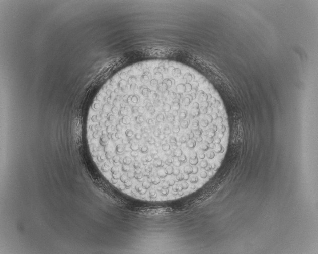 X0000115380646200912151440