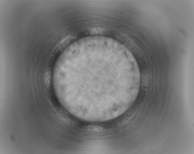 X0000115380648200912151440