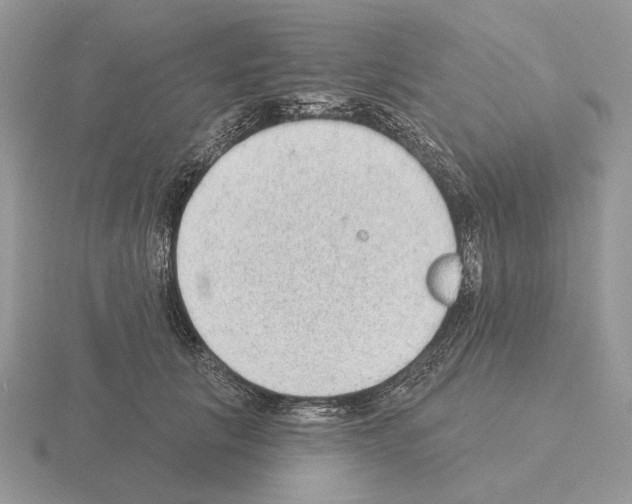 X0000115380657200912151440