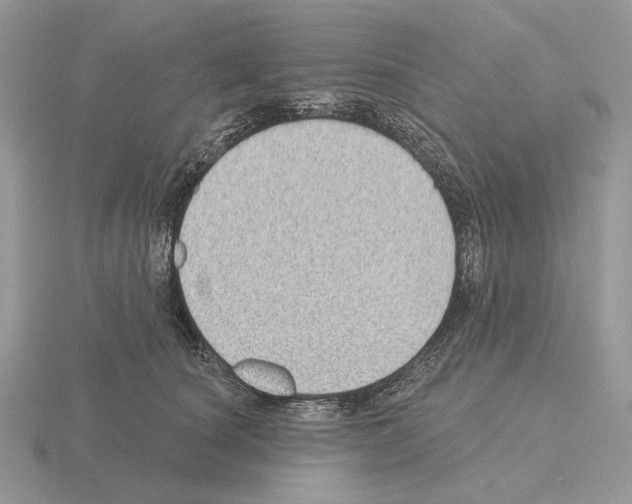 X0000115380660200912151440