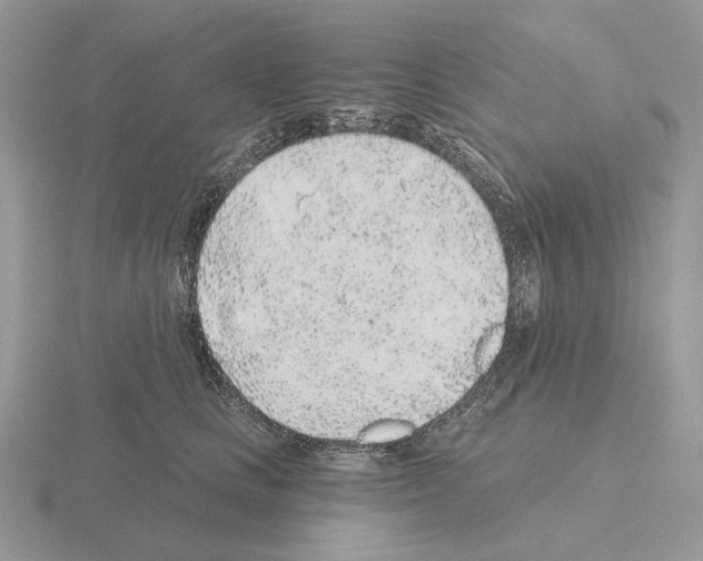 X0000115380661200912151440