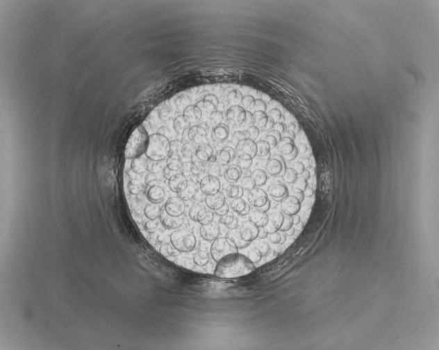 X0000115380662200912151440