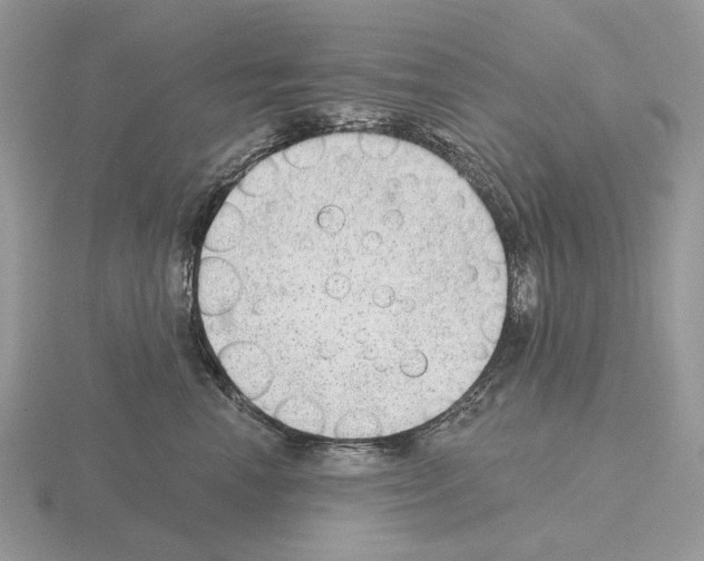 X0000115380666200912151440