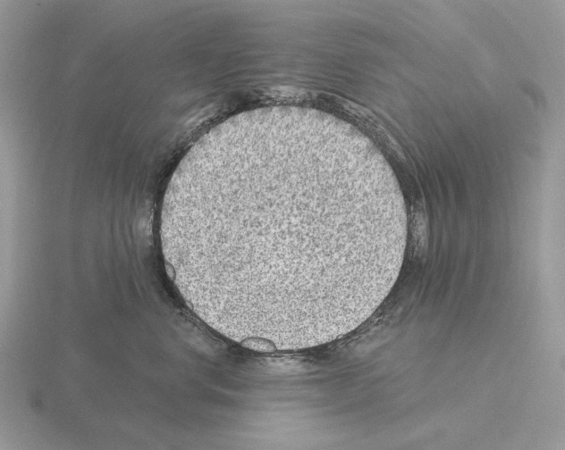 X0000115380668200912151440