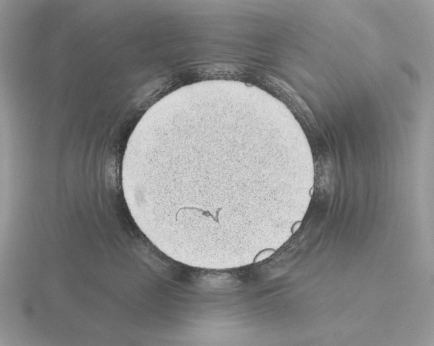 X0000115380669200912151440