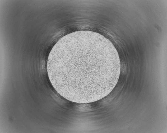 X0000115380670200912151440