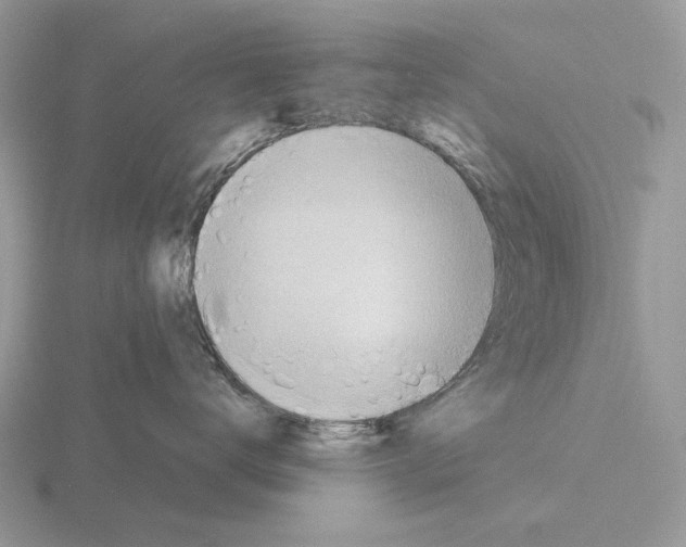 X0000115380672200912151440