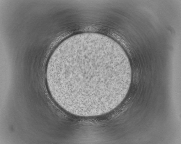 X0000115380673200912151440