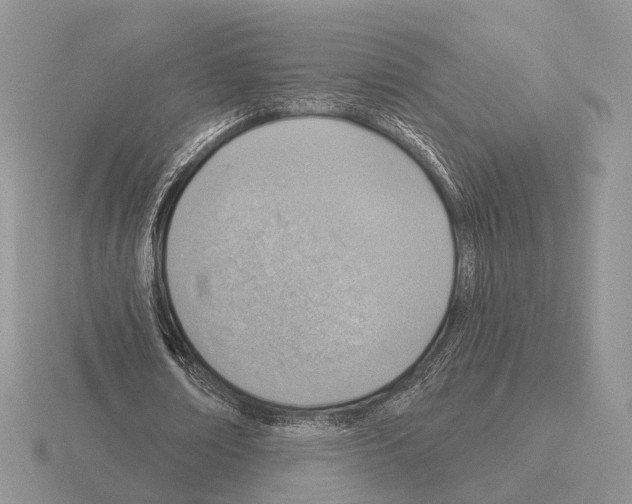 X0000115380674200912151440