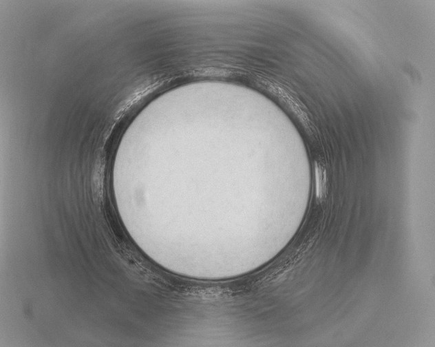 X0000115380675200912151440