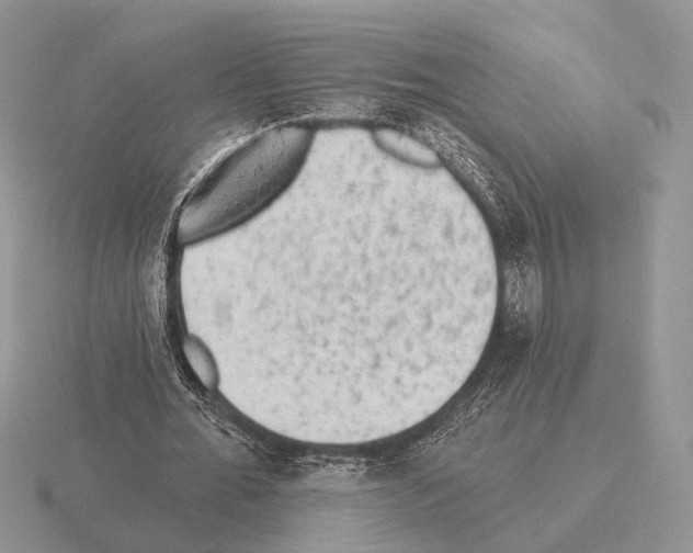 X0000115380676200912151440