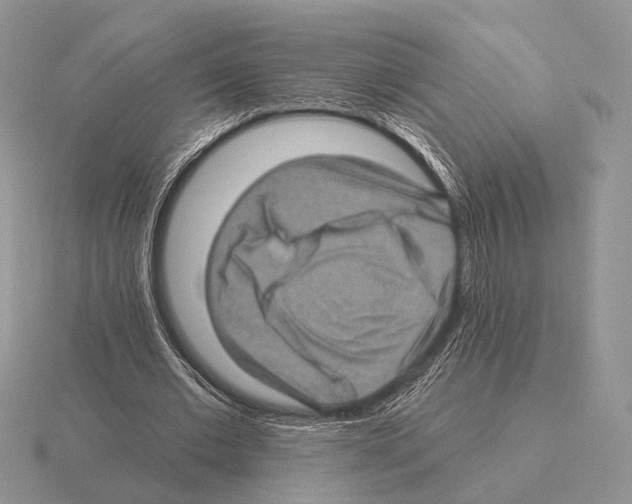 X0000115380677200912151440