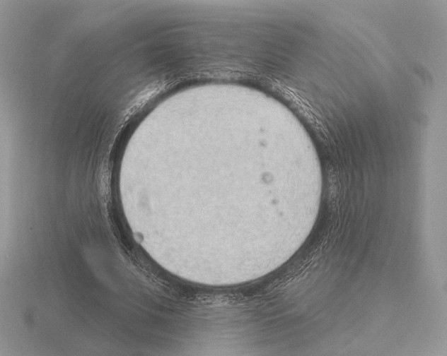 X0000115380679200912151440