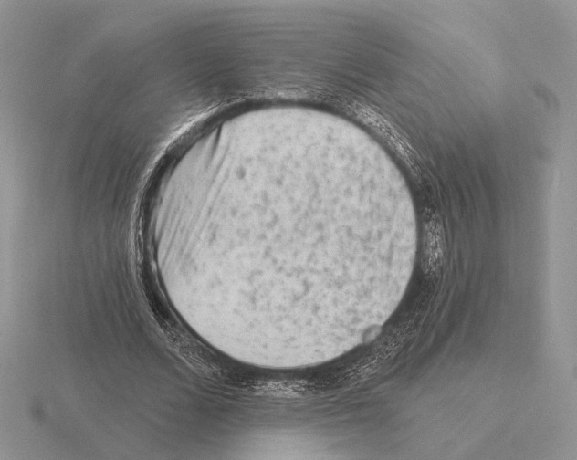 X0000115380680200912151440