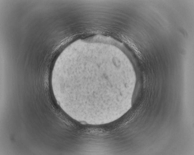 X0000115380681200912151440