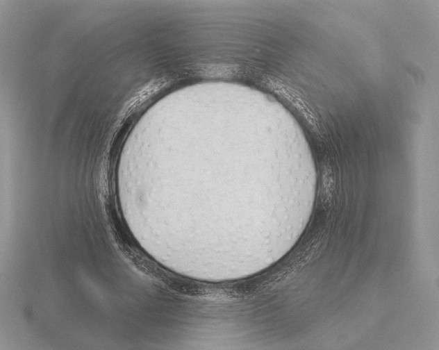 X0000115380682200912151440