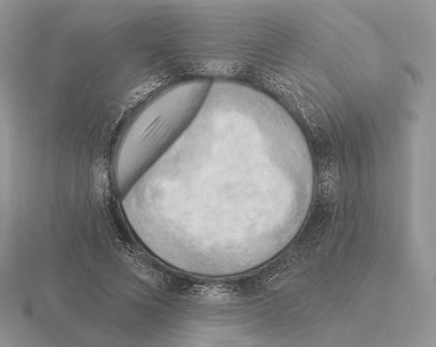 X0000115380688200912151440