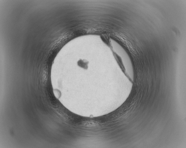 X0000115380691200912151439