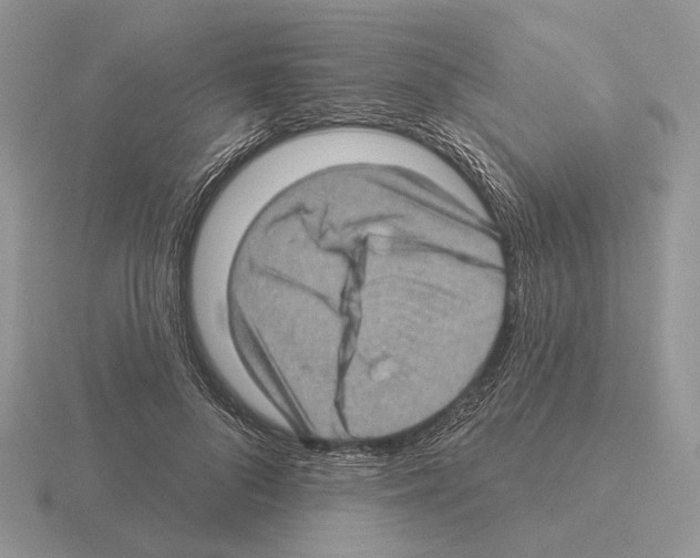 X0000115380696200912151439