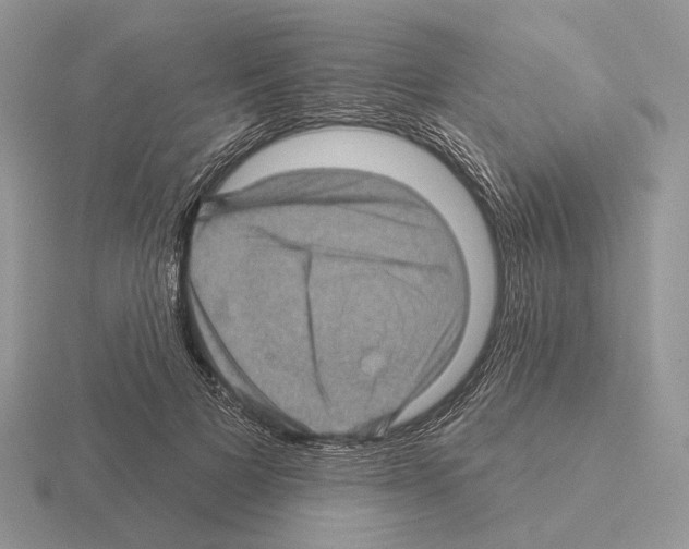 X0000115380697200912151439