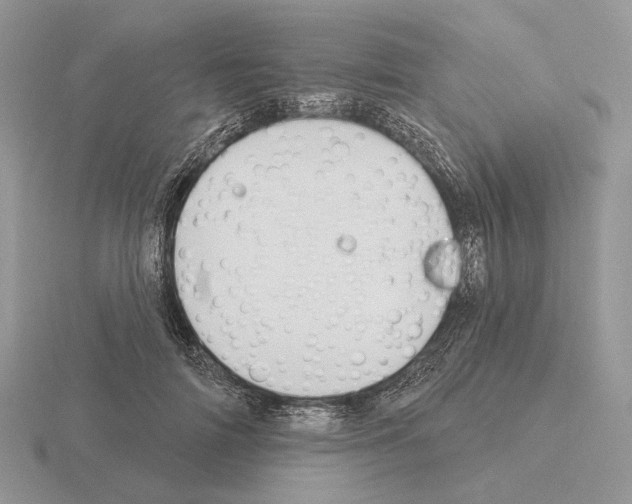 X0000115380698200912151439