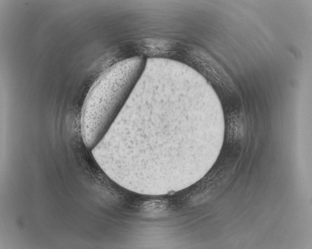 X0000115380700200912151439